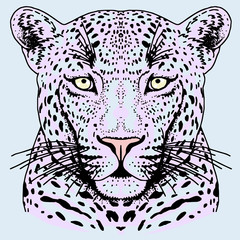 Leopard face tattoo ,Vector illustration, print