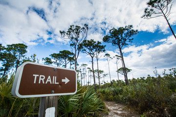 Florida Nature