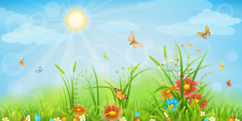 Summer meadow background with green grass, flowers and butterflies