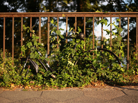Fahrrad