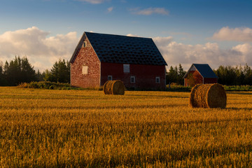 Big blue skies over rural Prince Edward Island, Canada. © V. J. Matthew