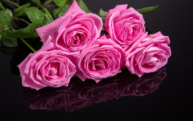 Pink roses isolated on black background. Mother's, Valentines, Women's, Wedding Day. Top view with copy space.  Place for text