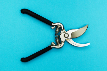 Metal secateurs isolated on a blue background. Care of trees and bushes.