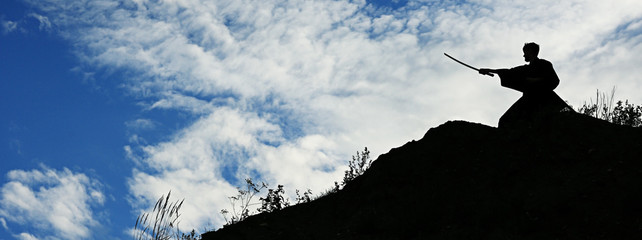 Warrior with sword panorama silhouette