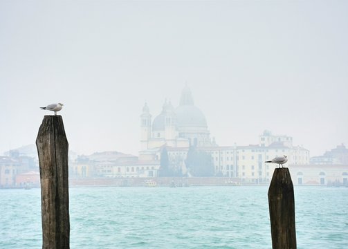 Venezia panorama del bacino san marco