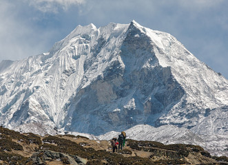 Porters near Island peak (6189 m) in district Mount Everest - Nepal, Himalayas - 141404070