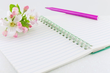 Open notebook with apple tree flowers