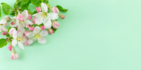 Fototapeta na wymiar Apple fruit blossom flower with leaves