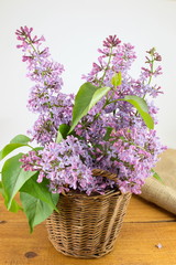 Lilac flowers in a wicker basket
