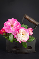 Pink and white roses in an vintage iron