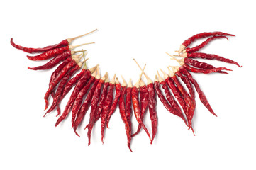 Red dried chili pepper on white background