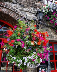 Fototapeta na wymiar Haus mit Blumen in Dublin