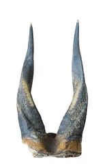 Zelfklevend Fotobehang horns isolated on a white background © stsvirkun