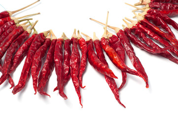 Red dried chili pepper on white background