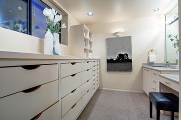 Narrow walk-in closet features make up vanity