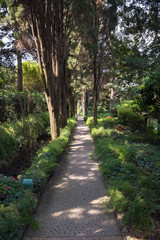 Fototapeta na wymiar Alley in the public garden of Villa San Michele on Capri Island