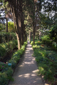 Alley in the public garden of Villa San Michele on Capri Island