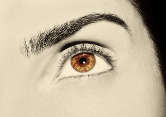  A beautiful insightful look woman's eye. Close up shot