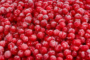 frozen red currant