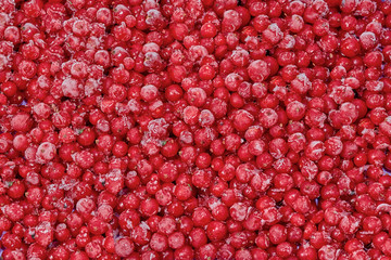 frozen red currant