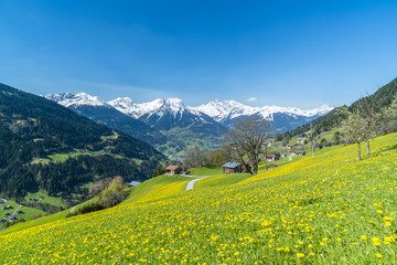 Plakat Frühling in den Alpen