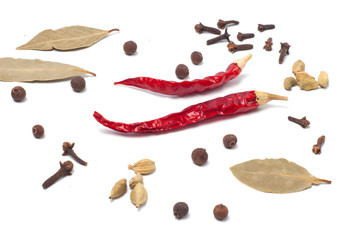 Different spices Pepper Chile carnation cloves on a white background