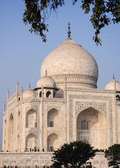 Fototapeta na wymiar Indien - Uttar Pradesh - Agra - Taj Mahal