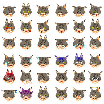 Maine Coon Cat Emoji Emoticon Expression