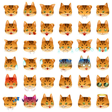 Bengal Cat Emoji Emoticon Expression