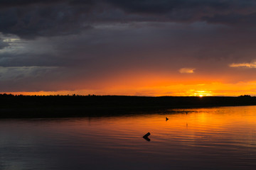 Evening at the river