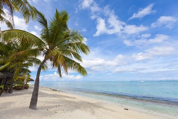 Fototapeta na wymiar Coconut palm trees at the luxurious five stars holiday resort on tropical paradise island