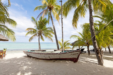 Fototapeta na wymiar Old wooden fishing boat on a tropical paradise island with coconut palm trees in the background