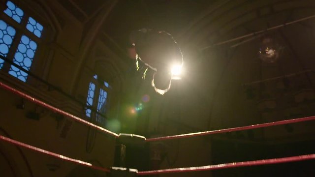 Pro Wrestler Backflip off Top Rope into Ring (slow motion)