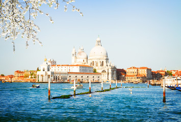 Fototapeta na wymiar Basilica Santa Maria della Salute over Grand canal water at sunny spring day, Venice, Italy