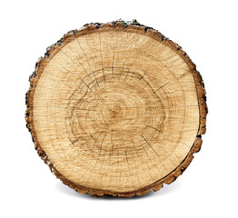 Large circular piece of wood cross section with tree ring texture pattern and cracks isolated on white background. Rough organic edges of bark.