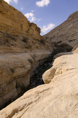 Fototapeta premium The Arugot Stream