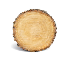 smooth cross section brown tree stump slice with age rings cut fresh from the forest with wood grain isolated on white