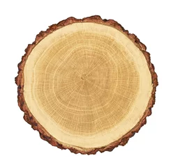 Peel and stick wall murals Wood smooth cross section brown tree stump slice with age rings cut fresh from the forest with wood grain isolated on white