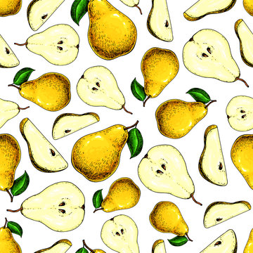 Pear vector seamless pattern. Hand drawn full and sliced pieces