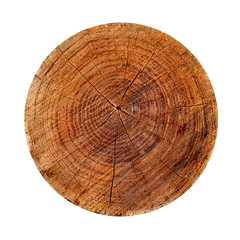 Wooden stump isolated on the white background. Round cut down tree with annual rings as a wood texture.