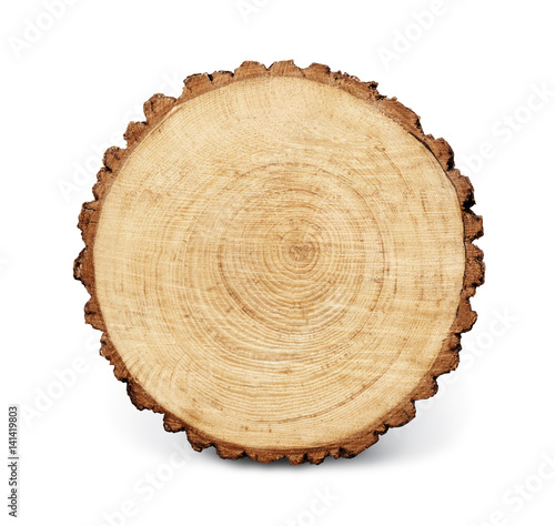 Wooden Stump Isolated On The White Background Round Cut Down Tree Wooden Stump Isolated On The White Background Round Cut Down Tree With Annual Rings As