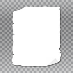 Vector format paper with shadows on transparent background.