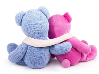 Friendship - two teddy bears blue and pink