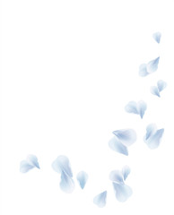 White Blue flying petals isolated on White background. Sakura Roses petals. Vector 