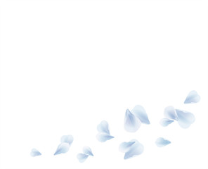 White Blue flying petals isolated on White background. Sakura Roses petals. Vector 