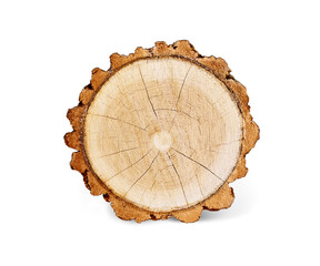 Cut tree slice with age rings cut fresh from the forest with wood grain isolated on white with shadow