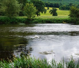 Fluss in Irland