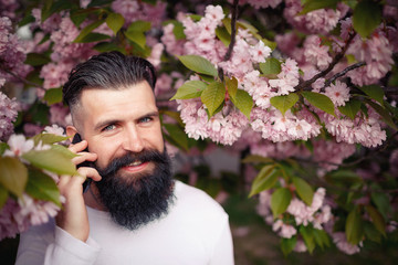 A cheerful bearded man with a beautiful mustache, a stylish hairdress near the sakura leaves with a phone in his hand