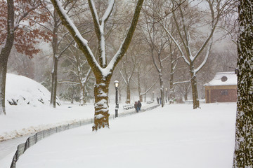 Blizzard in Central Park. Manhattan