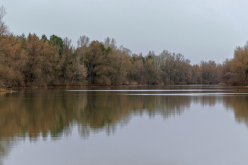 Calm reflection of the lake in early spring
